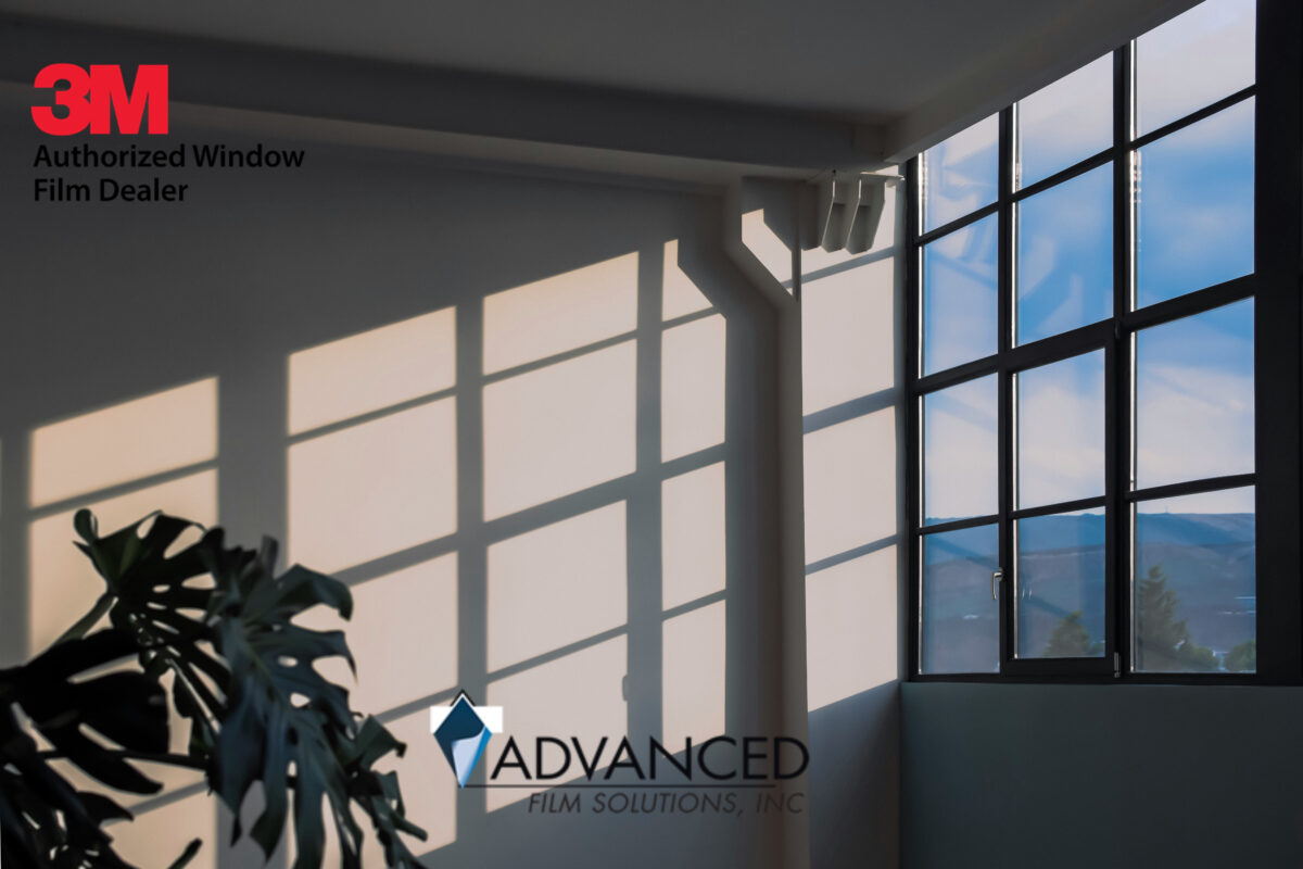 How Tampa Keeps Cool With Advanced Film Solutions Window Film